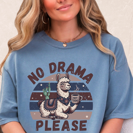 No Drama Please T-shirt