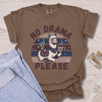 No Drama Please T-shirt