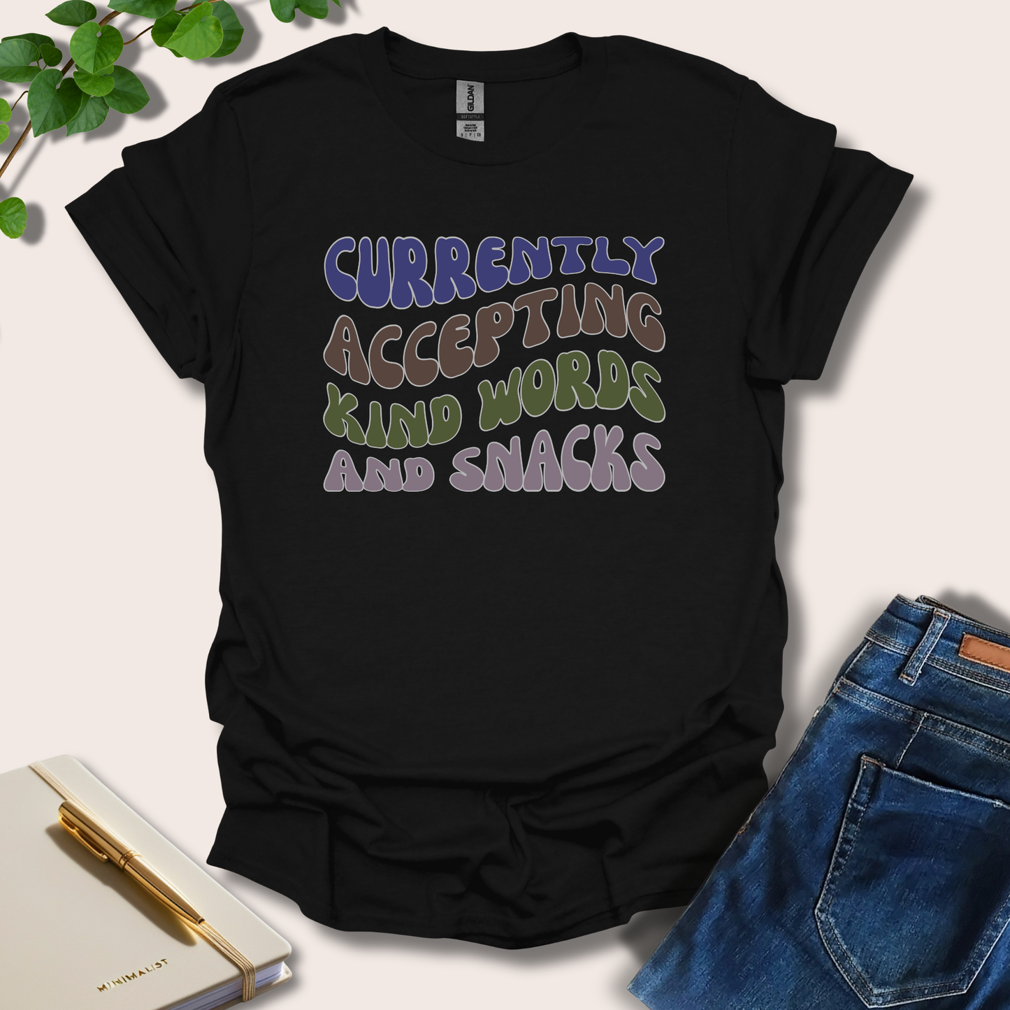Currently Accepting Kind Words And Snacks T-Shirt
