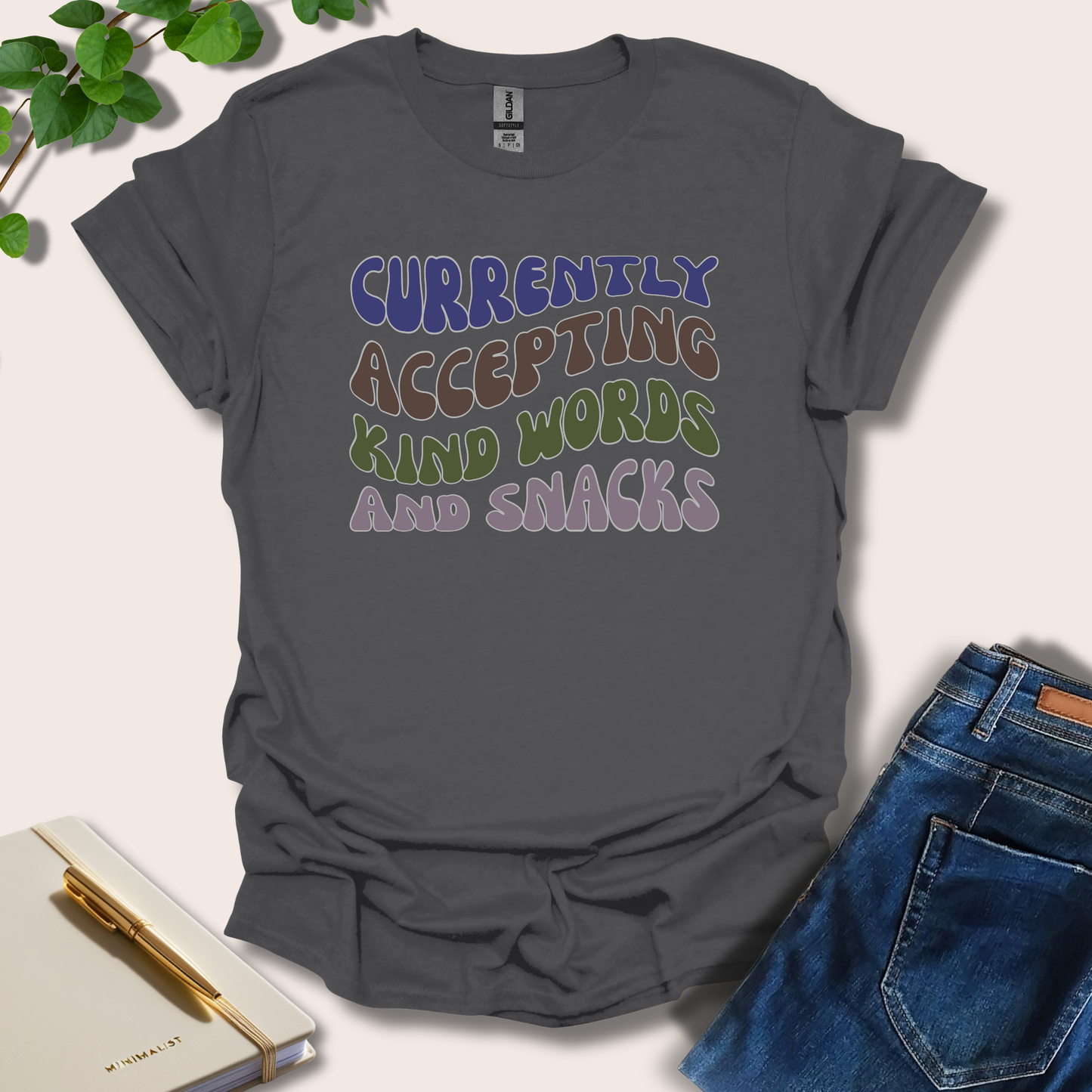 Currently Accepting Kind Words And Snacks T-Shirt