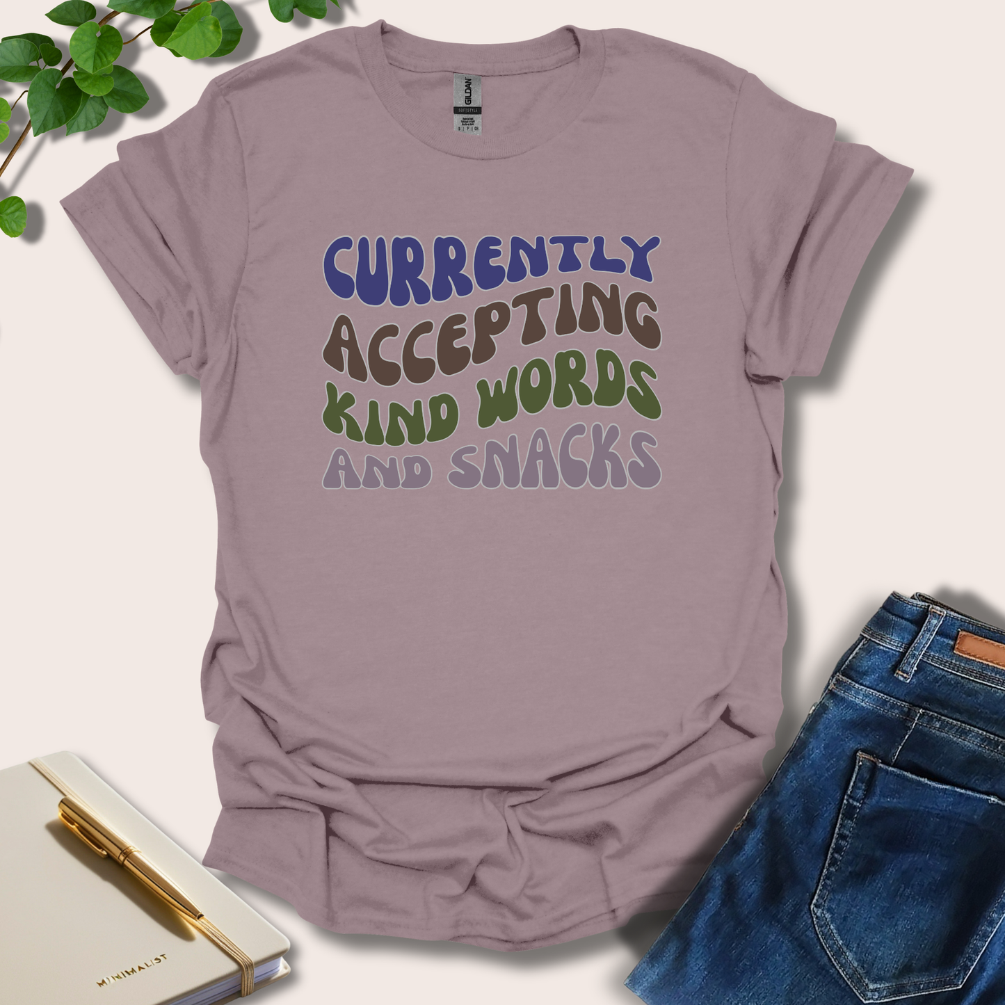 Currently Accepting Kind Words And Snacks T-Shirt